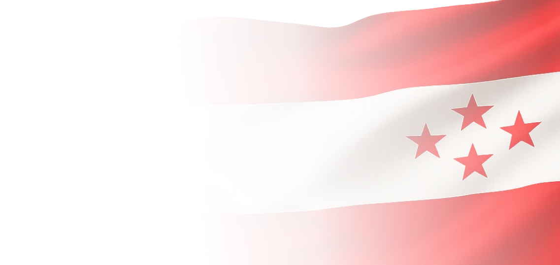 Nepali Congress Flag